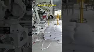 Bag palletizing robot with load of 50 kgpalletizer palletizingrobot [upl. by Mckee]