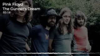 Pink Floyd  The Gunners Dream [upl. by Klement459]