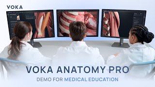 3D atlas of normal anatomy and gross pathology for medical education  VOKA Anatomy Pro [upl. by Paynter]