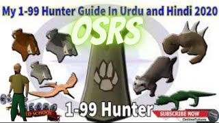 OSRS Hunter Guide 199 Urdu New Video 2023 [upl. by Enyleuqcaj]