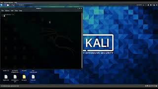 how to fix kali Linux issue not recognising ethernet adapter [upl. by Norse913]