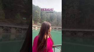 EP33 Verinag Kashmir🌼 kashmirseries verinag kashmirtravelguide kashmirtour jhelumriver solo [upl. by Kemeny]