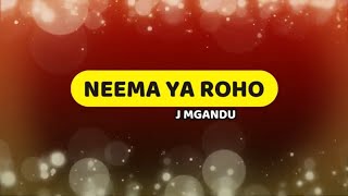 Neema ya Roho Mtakatifu  J Mgandu  Lyrics video [upl. by Nodyroc327]