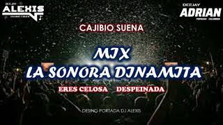 Mix La Sonora Dinamita ✖️ Eres Celosa ✖️ Despeinada ✖️ Dj Alexis Ft Dj Adrian [upl. by Volney]