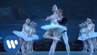 Tchaikovsky Swan Lake  The Kirov Ballet [upl. by Hisbe]