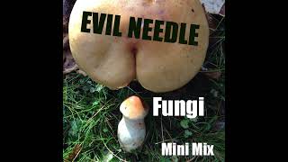 29  Evil Needle  Fungi Mini Mix [upl. by Ha]