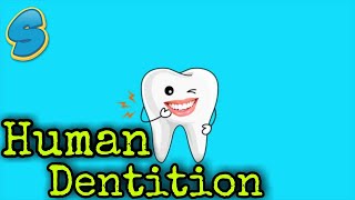 Dentition and dental formula በአማርኛ Grade 7 Biology Unit 3 Part 3 [upl. by Aya]