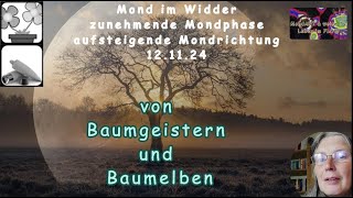 Mond Geflüster von Baumgeistern und Baumelben [upl. by Ellak]