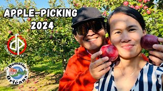 Domaine Orléans  Cidery amp Orchard applepicking 2024 [upl. by Llenrup]