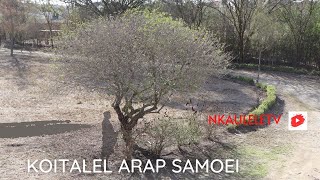 KOITALEL ARAP SAMOEI  THE GREATEST NANDI ORKOYIOT [upl. by Alger]