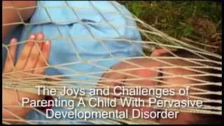 PDDNOSPervasive Developmental Disorder Support For Parents of Kids with PDDNOS [upl. by Hicks]