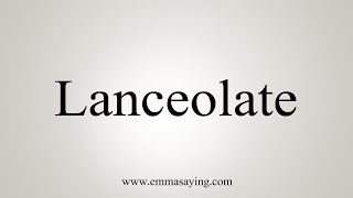 How To Say Lanceolate [upl. by Aeel]