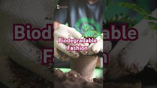 Biodegradable Fashion  How Your Clothes Can Disappear Naturally 🌿 fashion youtubeshorts [upl. by Yttiy]