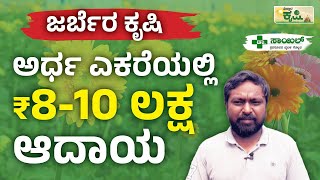 ಅರ್ಧ ಎಕರೆಯಿಂದ 8 ಲಕ್ಷ ಆದಾಯ  Gerbera Flower Farming in Kannada  Vistara Krishi  Bidar [upl. by Norre]