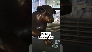 Bullring Birmingham uk uk shorts birmingham bullring [upl. by Anidene]