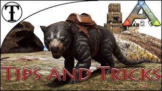 Fast Thylacoleo Taming Guide  ARK  Survival Evolved Tips and Tricks [upl. by Mayman609]