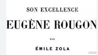 9 Emile Zola Son excellence Eugène Rougon livre audio partie 9 sur 13 [upl. by Trin]