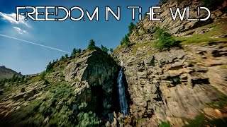 Freedom in the Wild  FPV 4K [upl. by Yniffit]