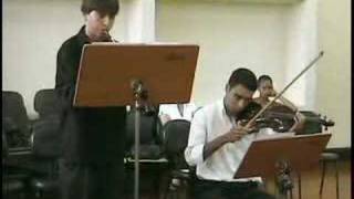 CIMAROSA  OBOE concerto PART I [upl. by Eillac131]