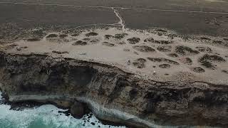 Eyre Highway Nullarbor Bunda Cliffs drone view [upl. by Eberle]