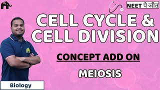 Cell Cycle and Cell Division Class 11 Biology NEET  Meiosis [upl. by Indihar]