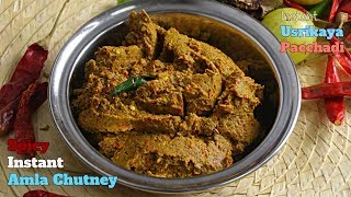 Instant Spicy Amla Chutneyఉసిరికాయ పచ్చడివారం పాటు నిలవుంటుంది ఈ పచ్చడి మర్చిపోలేరు దీని రుచి [upl. by Aedrahs]