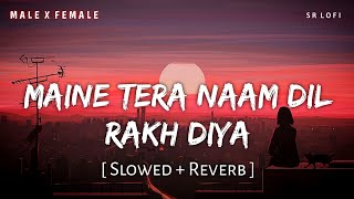 Maine Tera Naam Dil Rakh Diya Slowed  Reverb  Raghav Chaitanya Shreya Ghoshal  SR Lofi [upl. by Llenal]