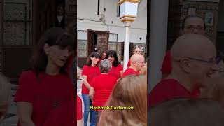 Flashmob castanholas em Sevilla [upl. by Eirhtug815]