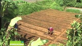 Costales Farm Video Tagalog [upl. by Leynad]