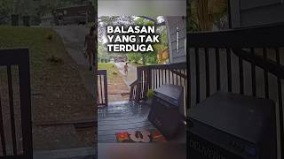 Balasan yang tak terduga shortvideo [upl. by Ahsitneuq]