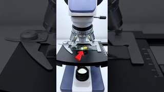 Boiled egg microscope 👀😳 shorts ytshorts trending viarlshorts [upl. by Adnawt]