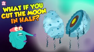 What If The Moon Split In Half  Moonquake  The Dr Binocs Show  Peekaboo Kidz [upl. by Animor547]