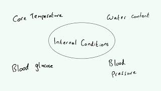 Homeostasis  AQA GCSE 91 Biology B5 [upl. by Alroi990]