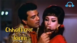 Ghhalkae Jaam dharmendra sharmilatagor viralvideo viralsong bollywood merehumdammeredost1968 [upl. by Rraval716]