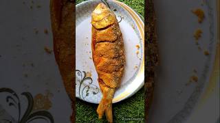 ✅ mouthwatering Salted HILSHA Recipe  Nona Ilish asmr [upl. by Isewk]