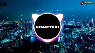 BigCiTyBoi Remix  Nhạc Tik Tok Remix 2020 [upl. by Hadley]