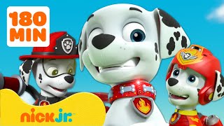 Paw Patrol  La Squadra dei Cuccioli  3 ore dei MIGLIORI momenti di Marshall  Nick Jr Italia [upl. by Purse274]