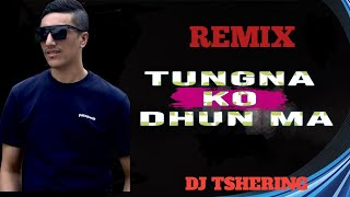 Tungna Ko Dhun Ma Remix 2024 Teaser DJ TSHERING  Nepali Remix l Dirty Dutch Mix [upl. by Jessamine270]