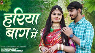 New Rajasthani Song  हरिया बाग में  Salim Shekhawas  Shilpa Bidawat  New Marwadi Song [upl. by Arved]