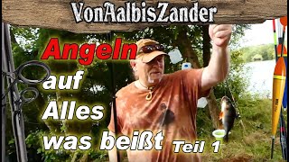 Angeln auf Alles was beißt Teil 1 Barsch Brassen [upl. by Gisella]