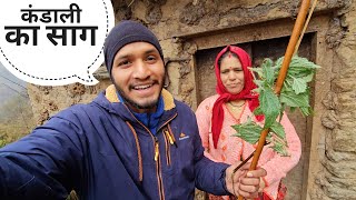 बर्फबारी और पहाड़ों का खानपान  Pahadi Lifestyle Vlog  Pahadi Biker  Alok Rana [upl. by Maybelle115]