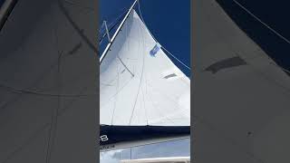 Single reefed main No headsail 20 knots wind 9 knots sog With Harrison Bell catamaransailing [upl. by Enigroeg]