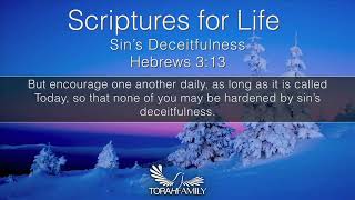 Scriptures for Life  Sins Deceitfulness [upl. by Zetta]