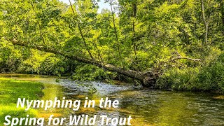 Nymphing in the Spring for Wild Trout [upl. by Tayyebeb555]