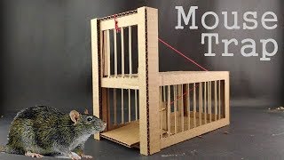 DIY Mouse Trap from Cardboard [upl. by Yelsnya]