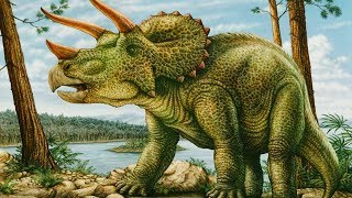 Triceratops  roślinożerny przeciwnik tyranozaura [upl. by O'Gowan45]