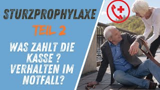 Sturzprophylaxe Teil2  Wohnraumanpassung Hilfsmittel Sofortmaßnahmen [upl. by Analaj495]