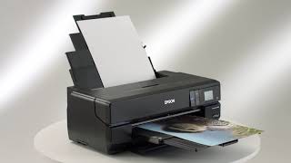 Epson SureColor P800 Overview [upl. by Eissehc]