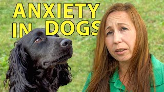 Dog Training for Anxious Pets by the RSPCA [upl. by Siclari]