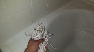 Remove Caulk in SECONDS Guaranteed Method [upl. by Aissyla]